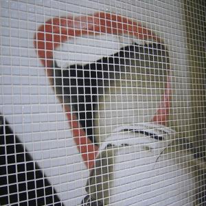 Stekleni mozaik hd decoration04_3