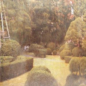 Stekleni mozaik hd exteriors06_3