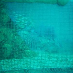 Stekleni mozaik hd pools01_07