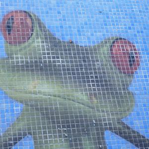 Stekleni mozaik hd pools02_6