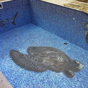 Stekleni mozaik hd pools06_1