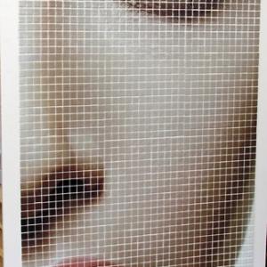 HD staklene mozaik pločice Women face